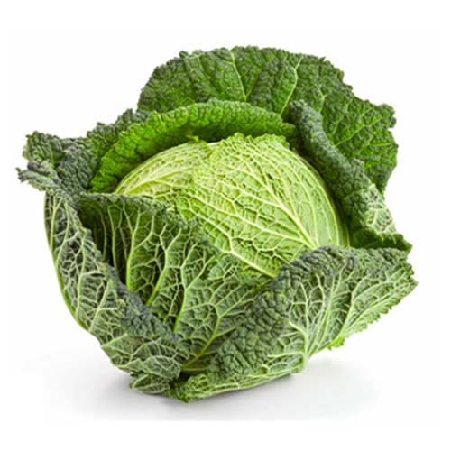 Kelj (organsko) PG Vlček